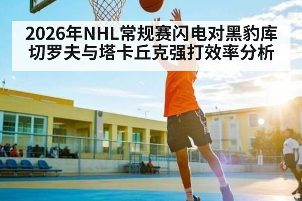 2026年NHL常规赛闪电对黑豹库切罗夫与塔卡丘克强打效率分析